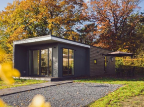 Modern chalet with WiFi, in a holiday park near a large nature reserve